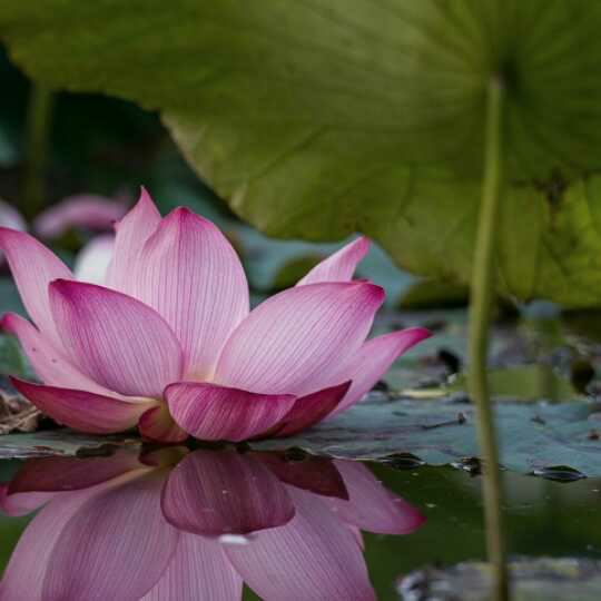 专卖店财务岗位职责