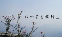 医疗总监助理岗位职责