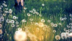 重点客户销售主任岗位职责