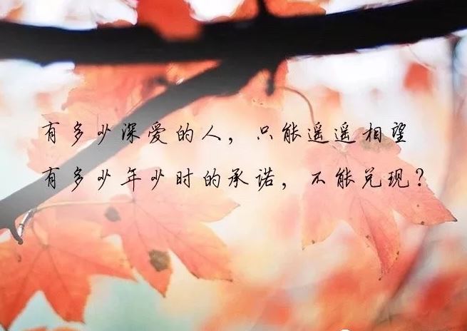 设备责任人岗位职责