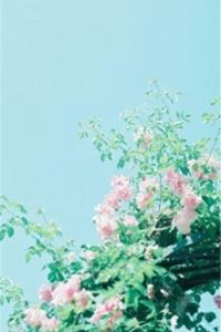 组装主任岗位职责