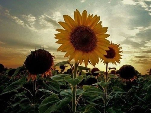 三座标测量岗位职责