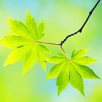 采油气班长岗位职责