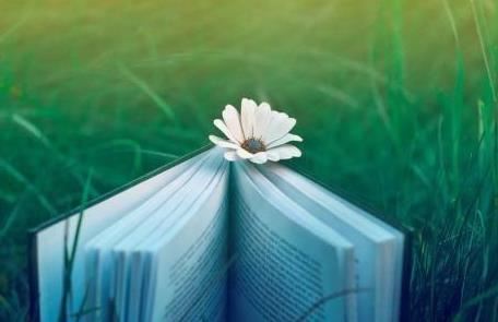 某知名音乐集团岗位职责