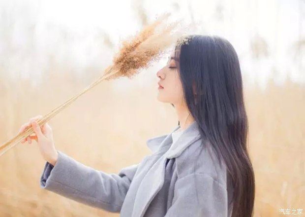 项目主编岗位职责