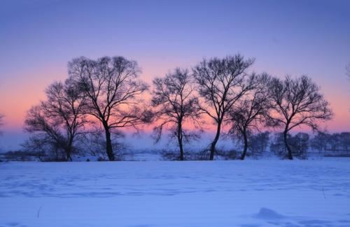 环保总工岗位职责