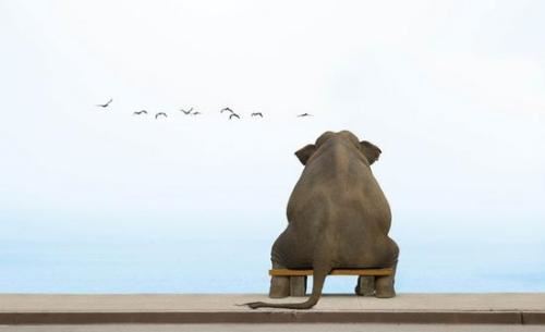 养殖技术员岗位职责