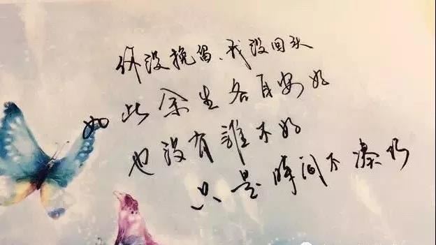 财务运营审计岗位职责