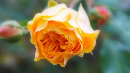 仪器设备管理员岗位职责