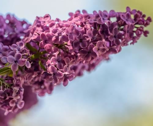 园区维修技工岗位职责