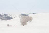 造价部部长岗位职责