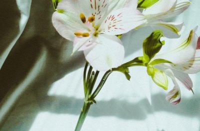 营销经理储备岗位职责