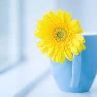 总部财务主管岗位职责