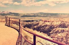 主检医师岗位职责