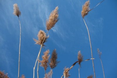 专案设计师岗位职责
