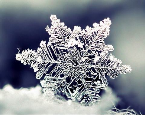 注塑车间主管岗位职责