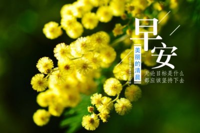 销售赚大钱岗位职责