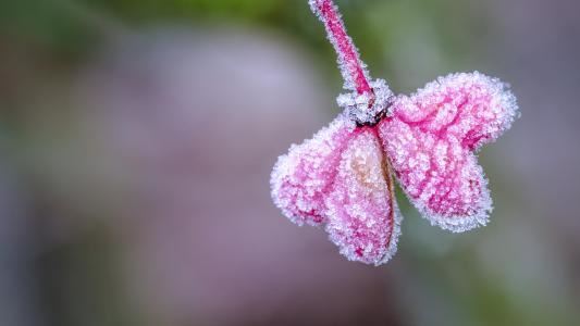 直通车运营岗位职责