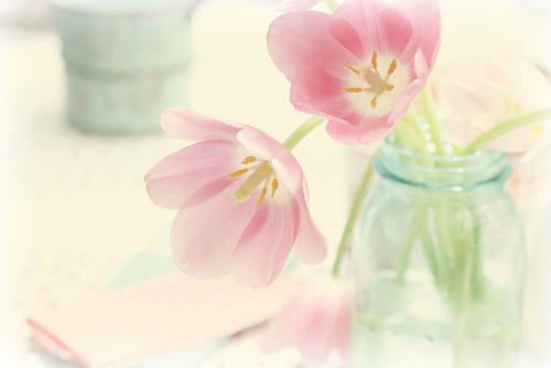 药品质量管理岗位职责