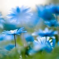 压力容器工程岗位职责