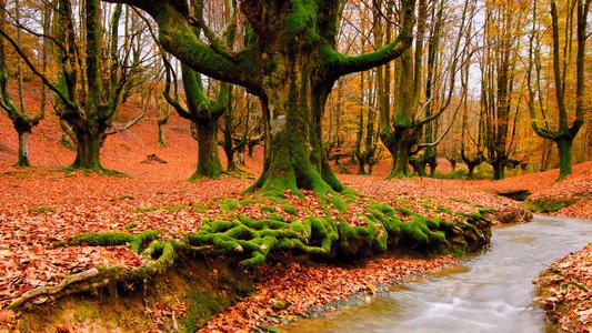 医疗器械销售专员岗位职责