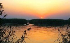 园林绿化总工程师岗位职责