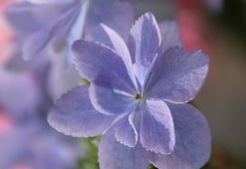 手机整机测试岗位职责