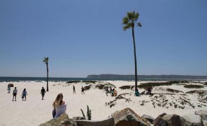 报告咨询工程师岗位职责