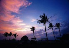 在线技术支持岗位职责