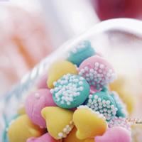 方案主创设计师岗位职责