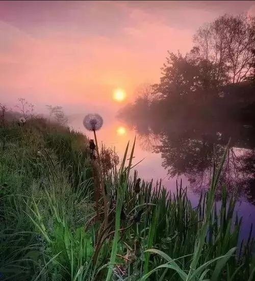 园林装修工程师岗位职责