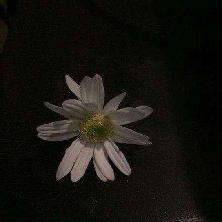 资深客户执行岗位职责