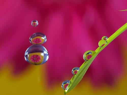 在线英语教师岗位职责