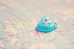 品牌整合营销岗位职责