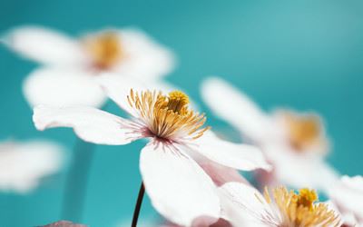 英语翻译专员岗位职责