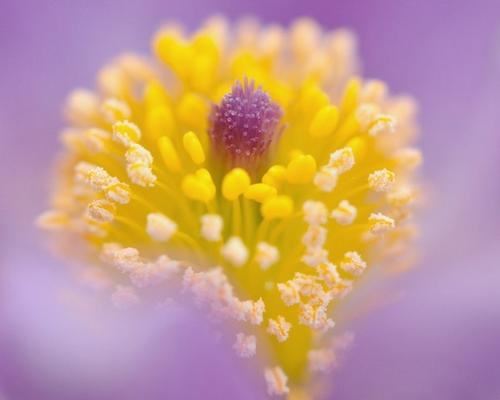 家具油漆工学徒岗位职责