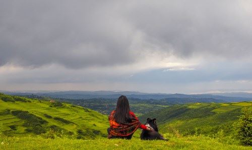 软件质量管理岗位职责