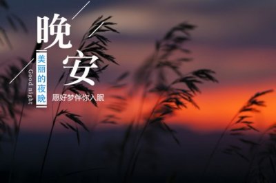 资产管理总监岗位职责