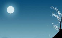 用品销售总监岗位职责