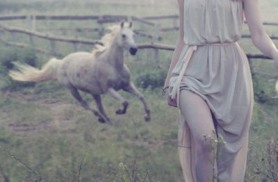 资质专管员岗位职责