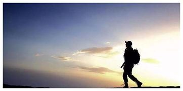 质控部专员岗位职责