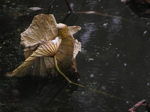 液压维修岗位职责