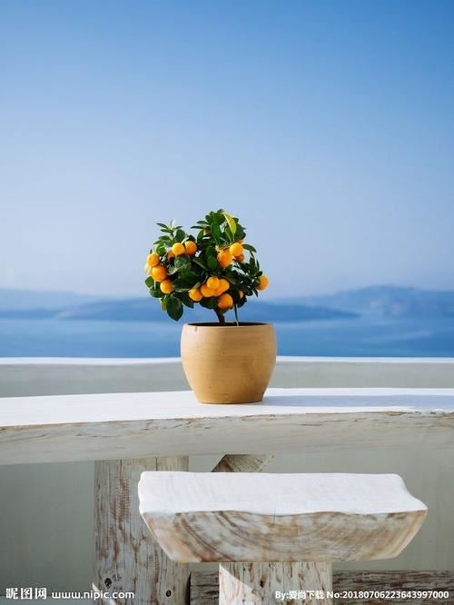 招商加盟经理岗位职责