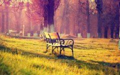 招投标部经理岗位职责