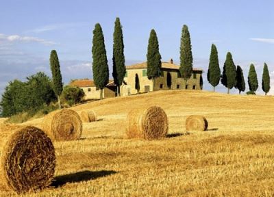 院校教务岗位职责