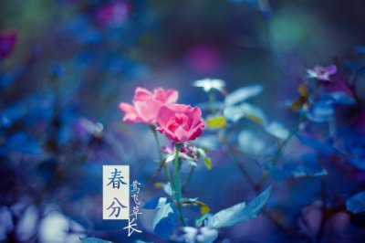 诊所专员岗位职责