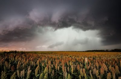 预算专业经理岗位职责