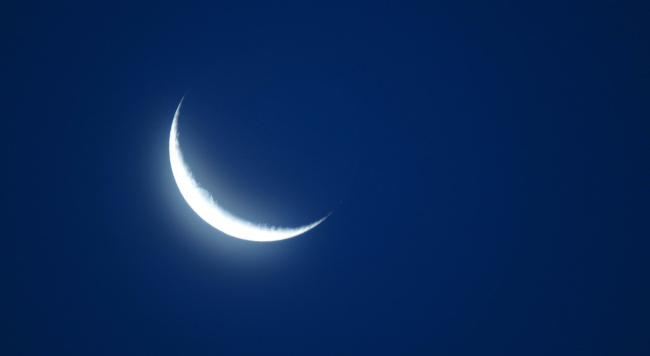 质量部助理岗位职责