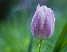 装潢工岗位职责