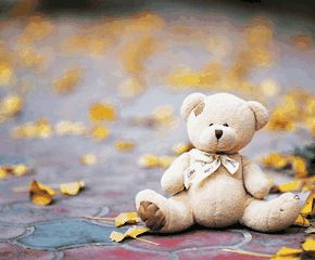 浙江省区域经理岗位职责